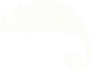 chameleon chameleon